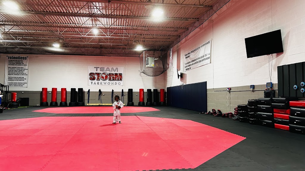  Storm Sport Taekwondo