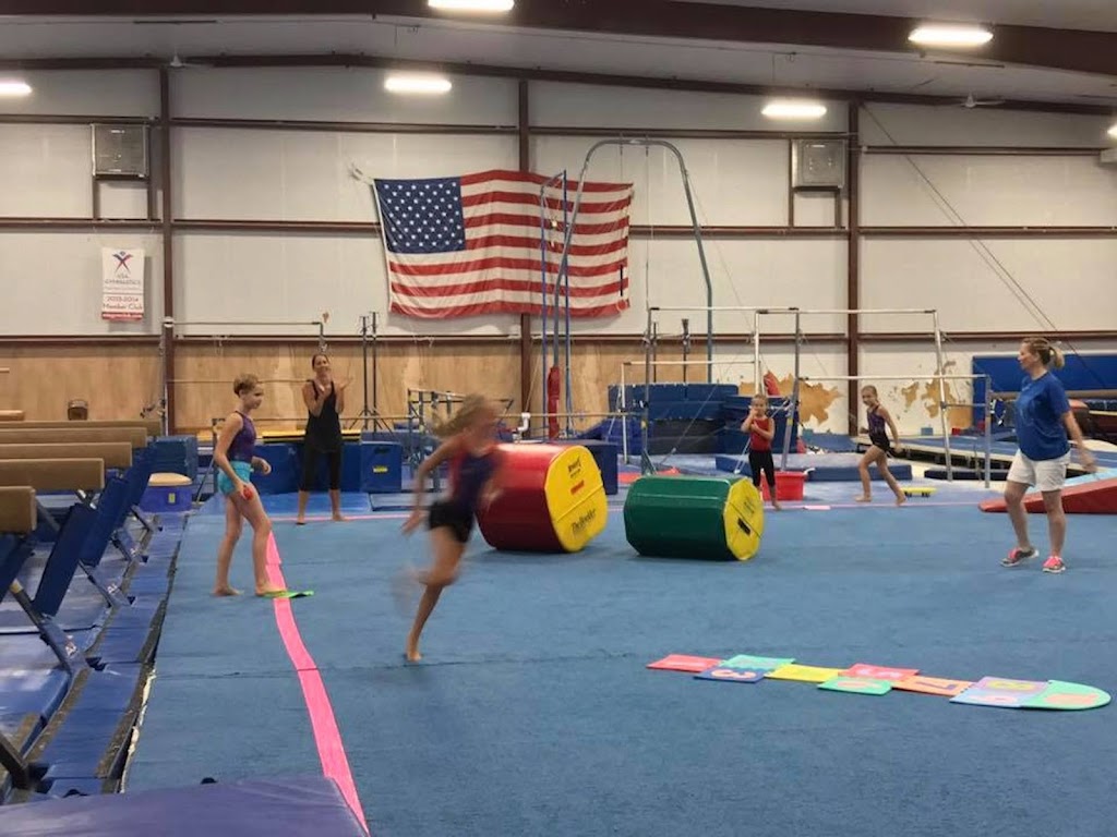  Dave's Gymnastics Factory