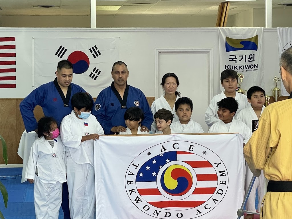  Ace Taekwondo Academy, USA
