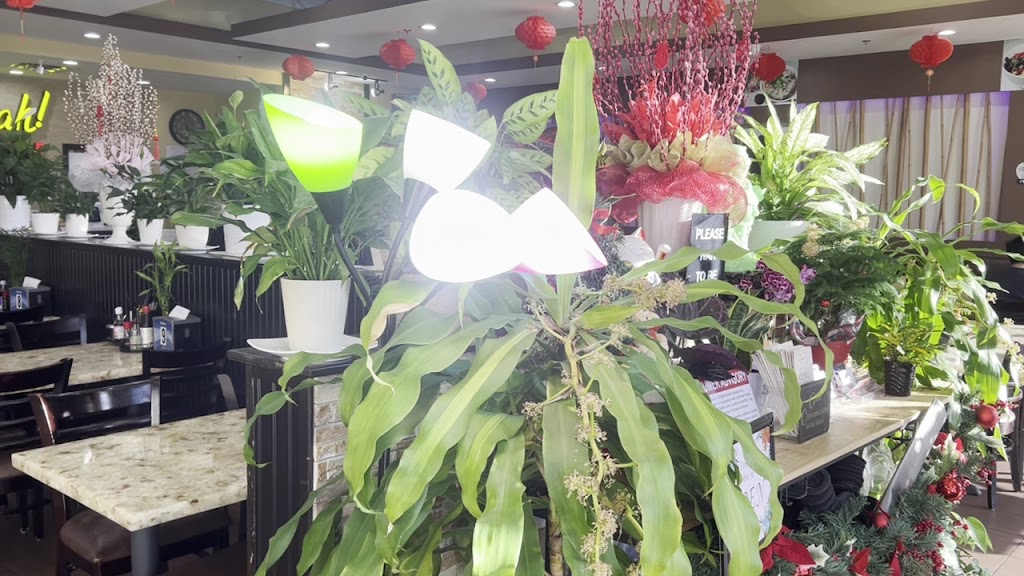  Starting Strength Katy