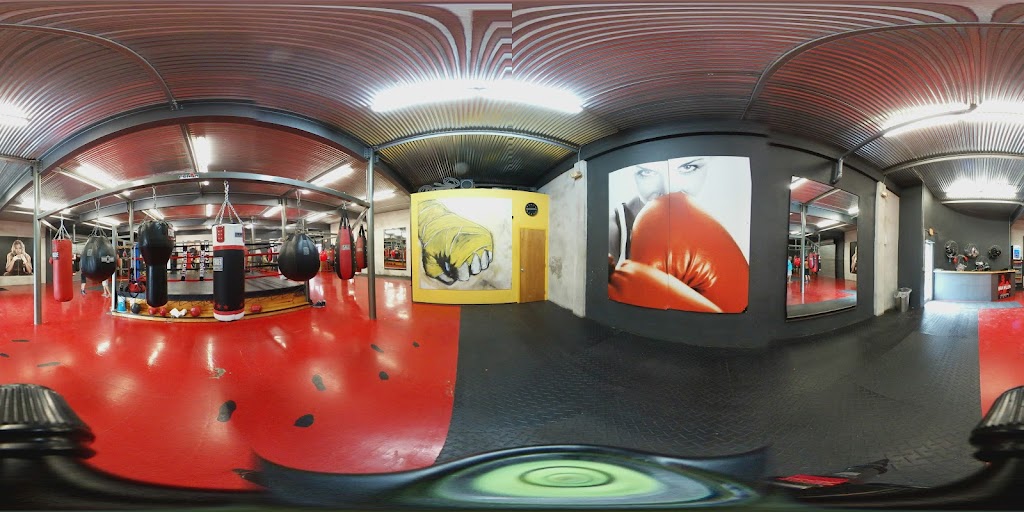  Punch Elite Fitness Miami