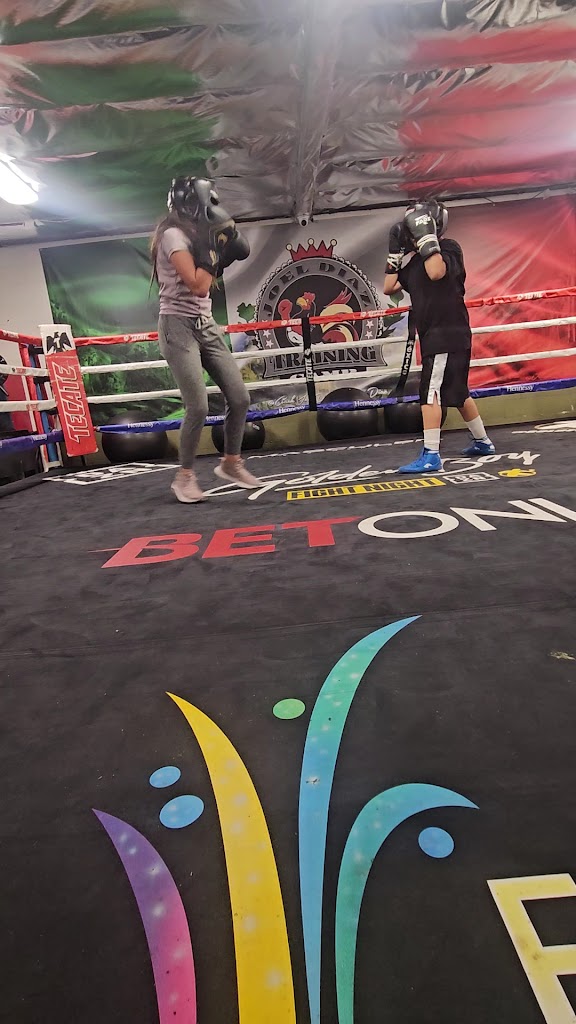  Diaz Brothers Training Camp