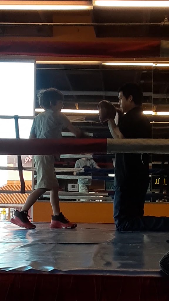  Boxing Fit University