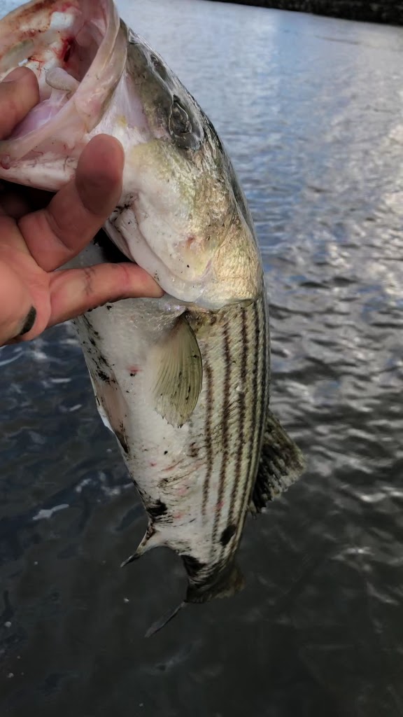  Outdoor Fitness Equipment