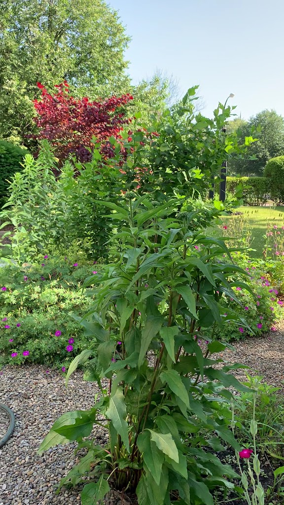  Himalayan Institute Buffalo - Yoga & Meditation