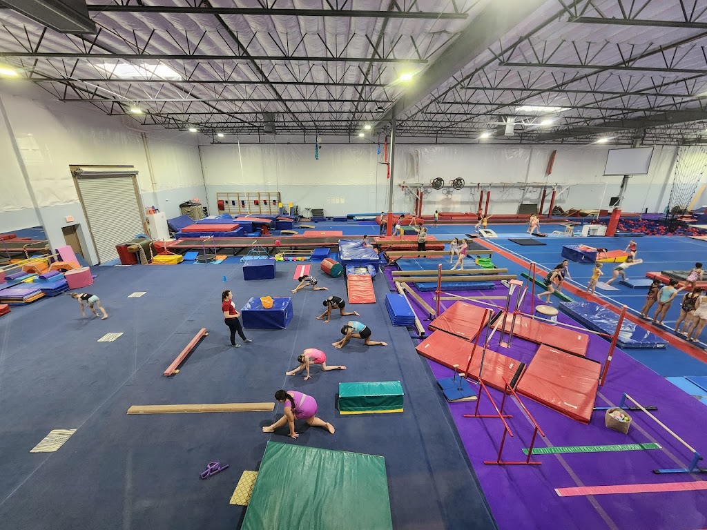  Flip For Me Gymnastics