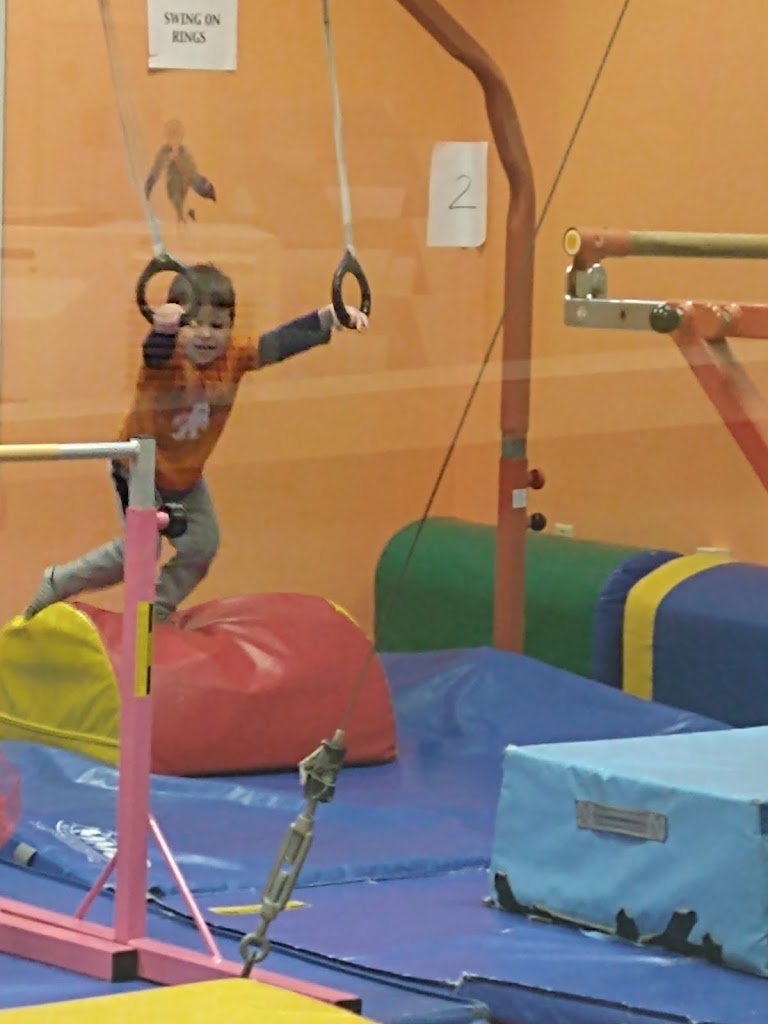  Dream Big Gymnastics