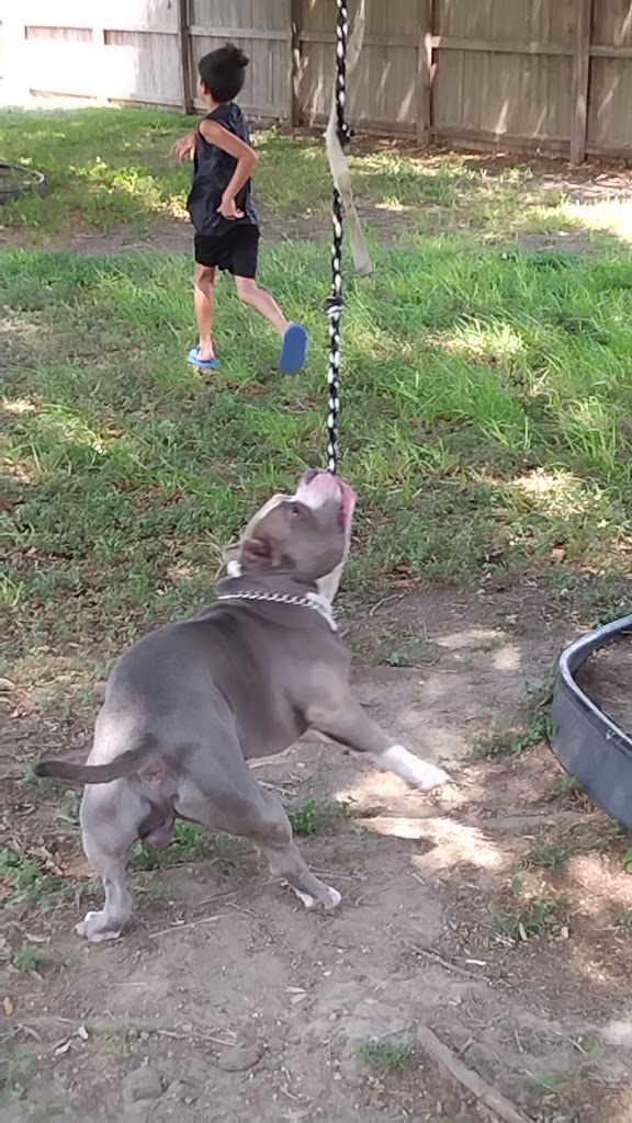  Tigre’s Boxing Gym