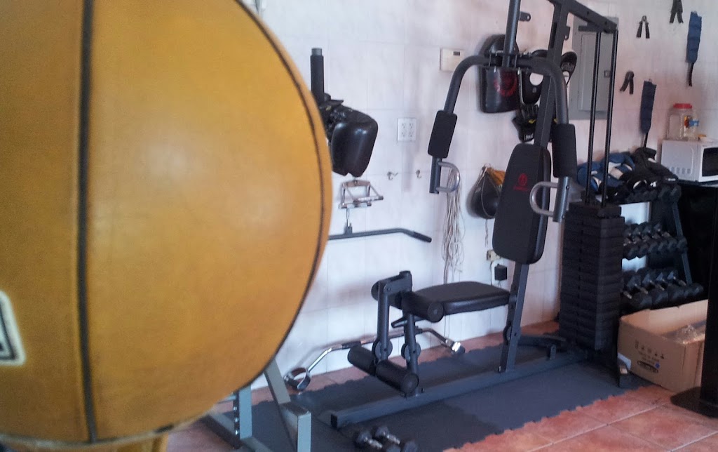  Freestyle Fighting Fitness