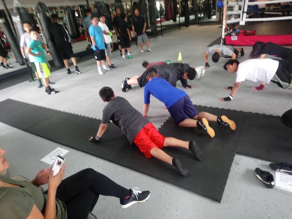  Noble & Carina's Boxing Gym