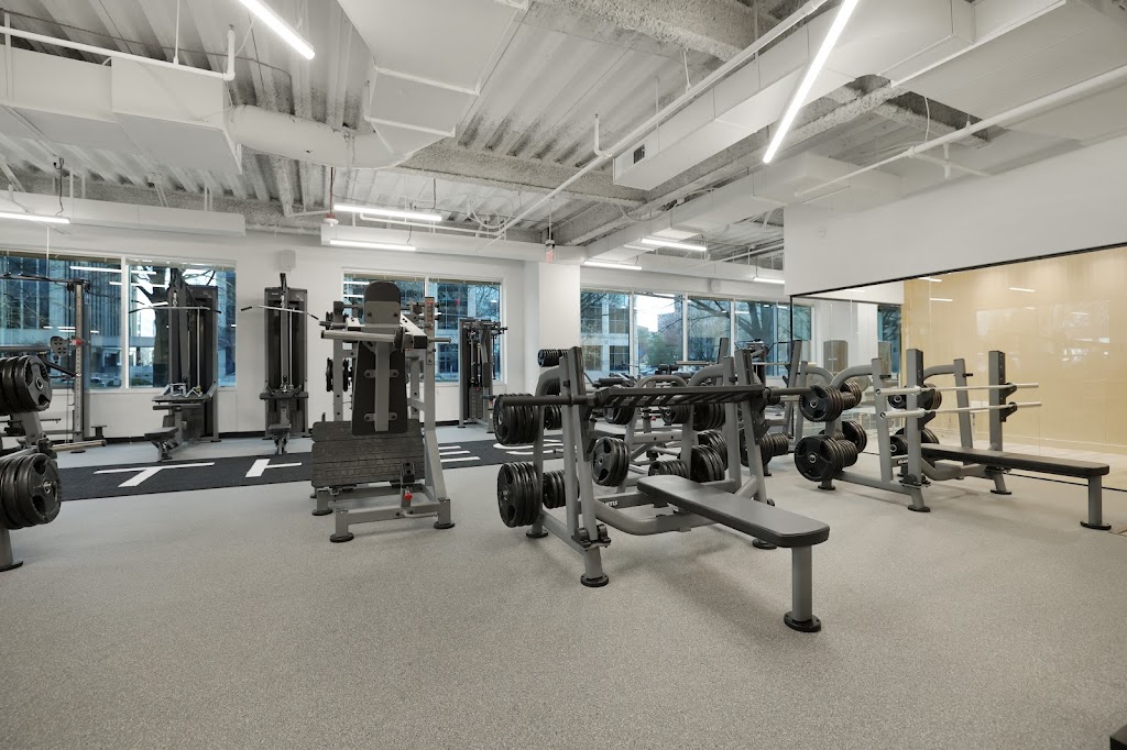  Thesis Personal Training Tysons