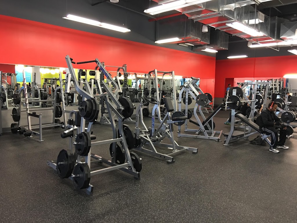  Blink Fitness (PureGym)