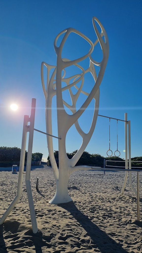  Muscle Beach South Beach