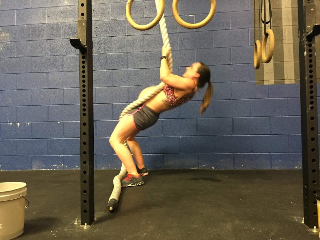  CrossFit Paladin