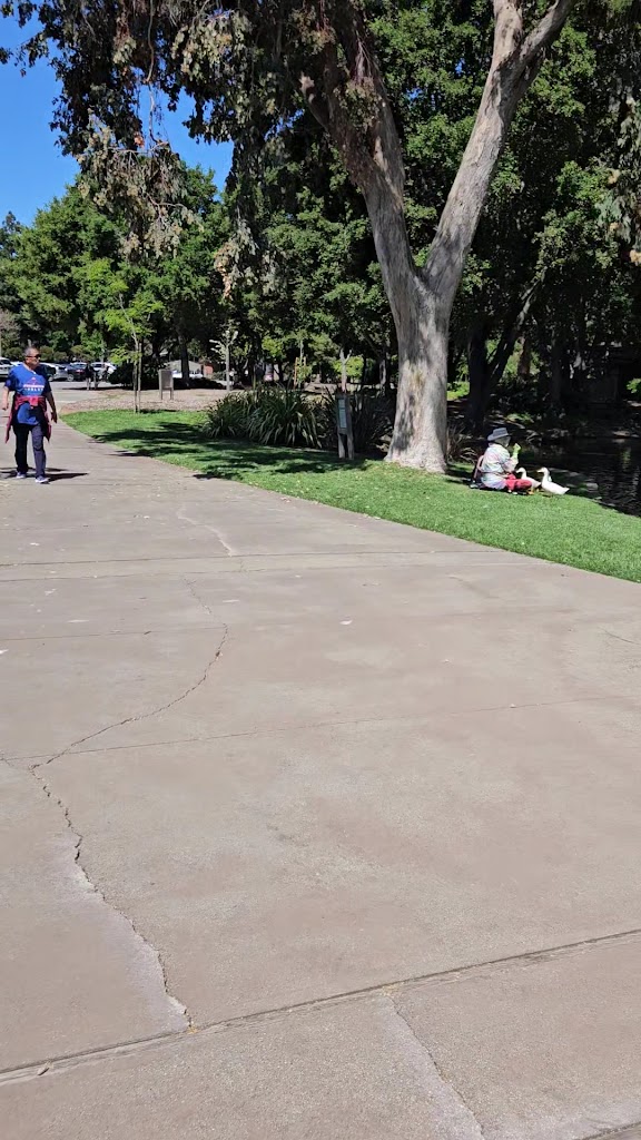  Arrillaga Family Gymnasium