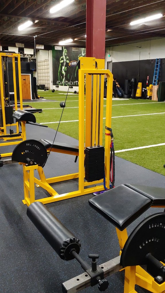  Ford Sports Performance