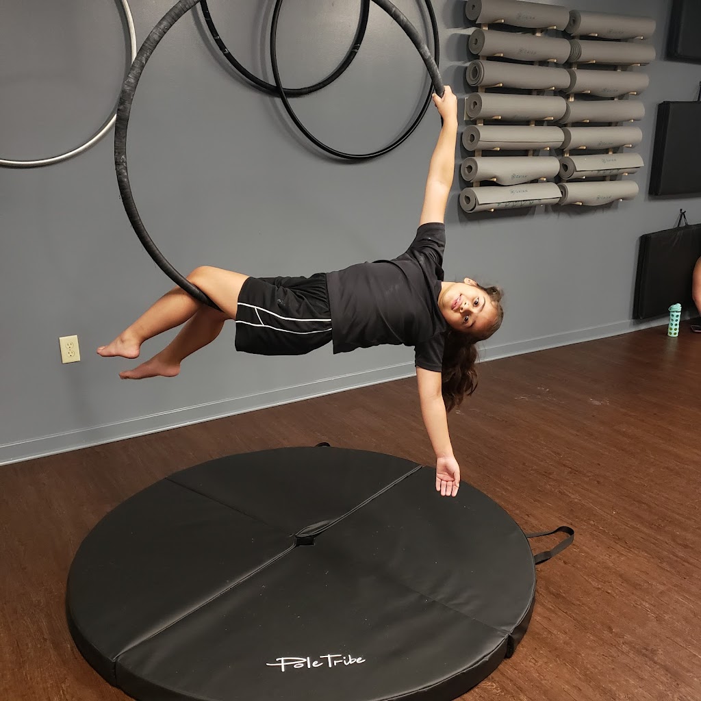  Bewinged Aerial Fitness