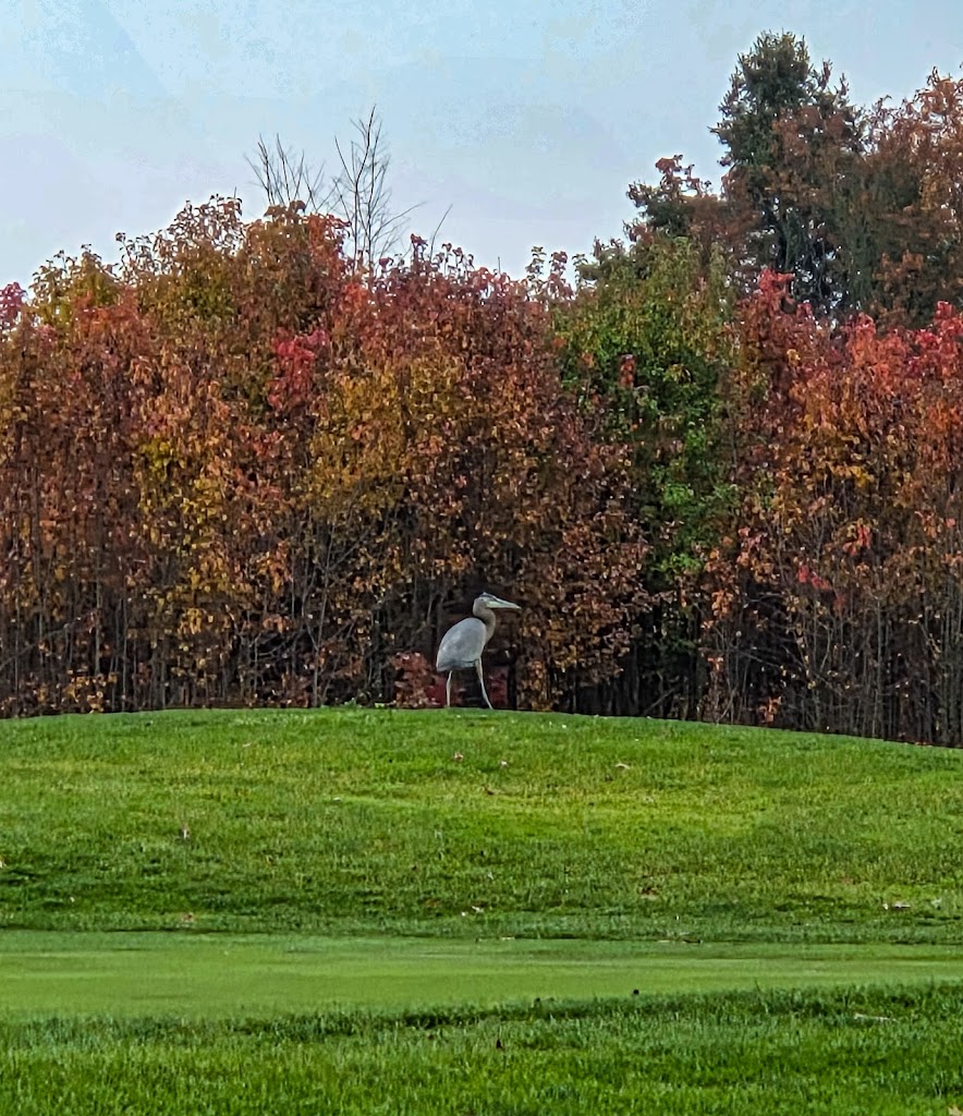  Royal Oaks Golf Club