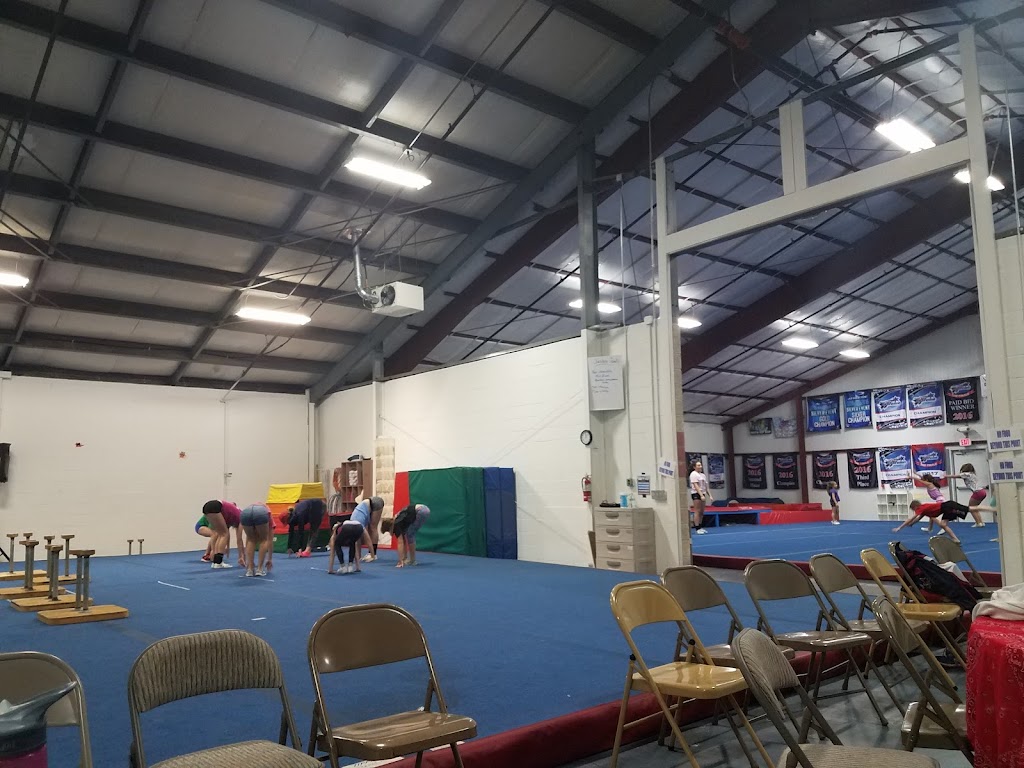  USA Stars Cheer and Dance