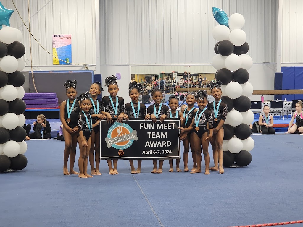  Detroit School Of Gymnastics