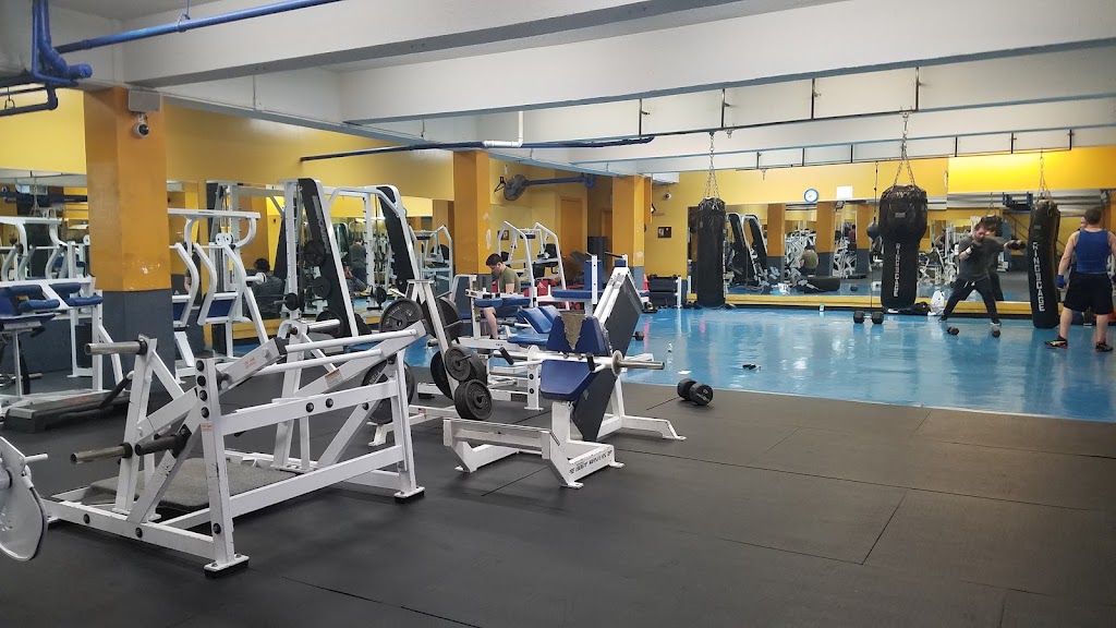  Dumbbells Health & Fitness Gym