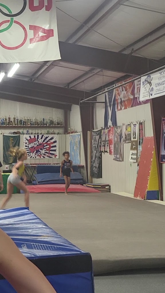  Mid-America Gymnastics Training