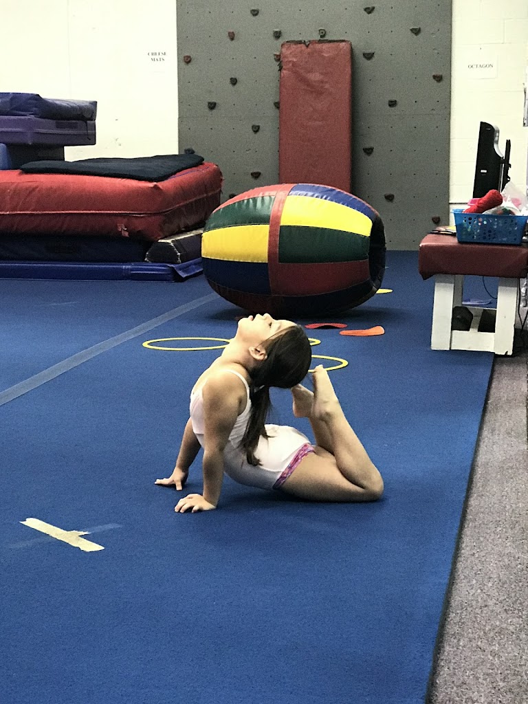  Genie's Gymnastics Inc.