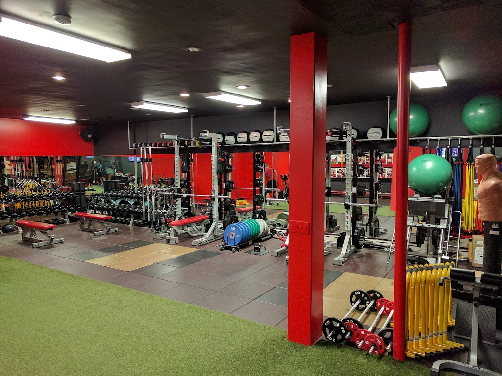  Dynamic Speed and Fitness