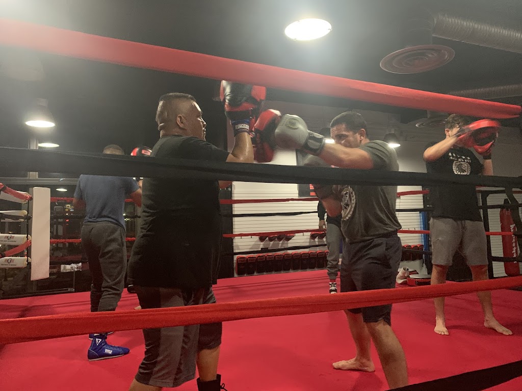  Brick By Brick Boxing