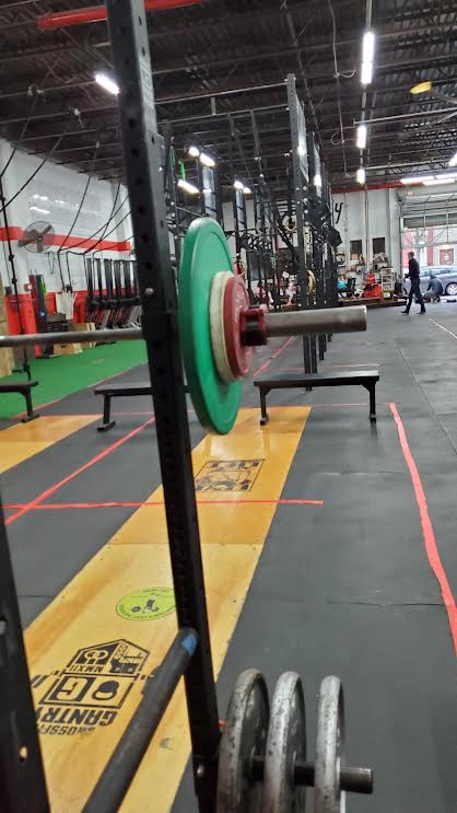  CrossFit Gantry
