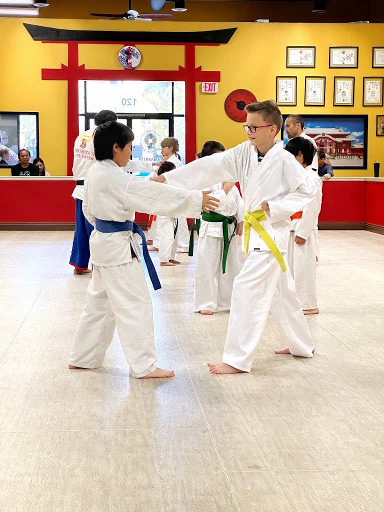  Yamashita Martial Arts
