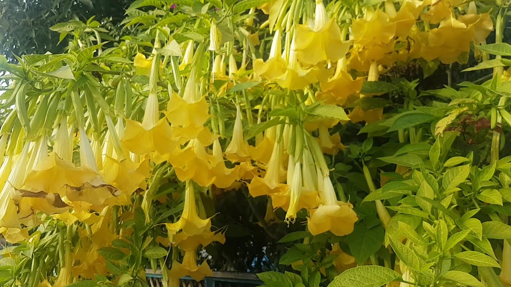  Peninsula Swim School