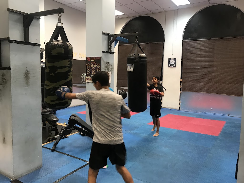  US Muaythai & Amirboxing