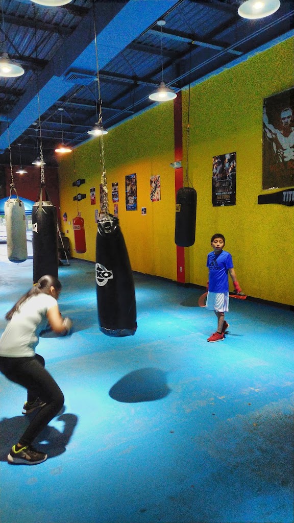  Vila Boxing