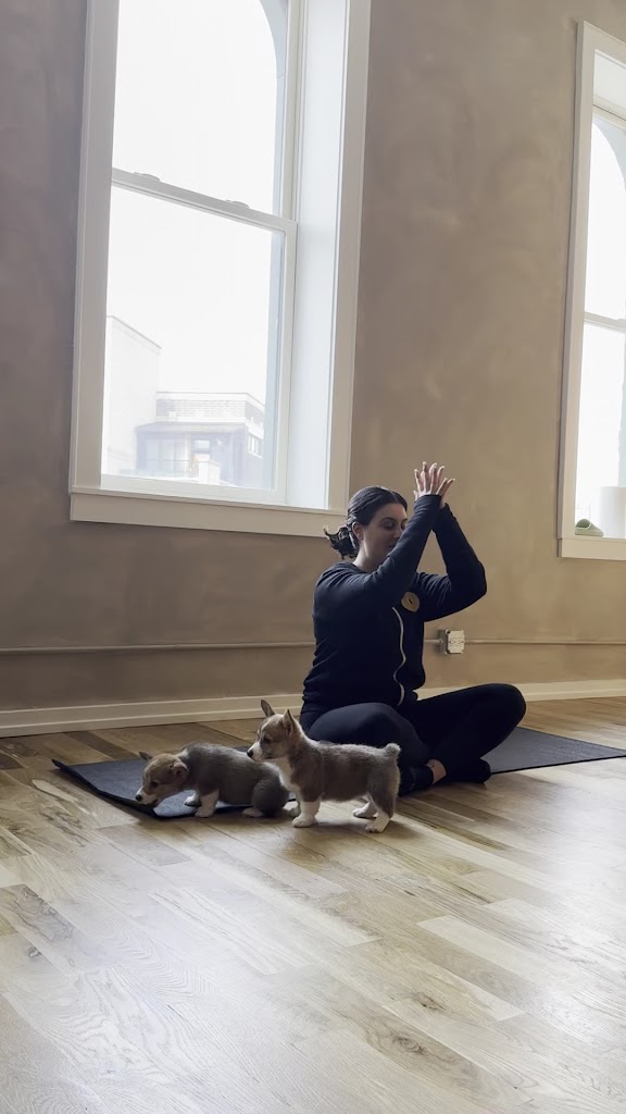  Puppy Sphere | Puppy Yoga (West Town)