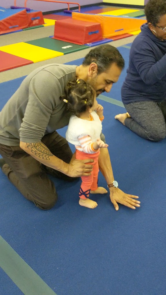  The Little Gym of Stevens Creek