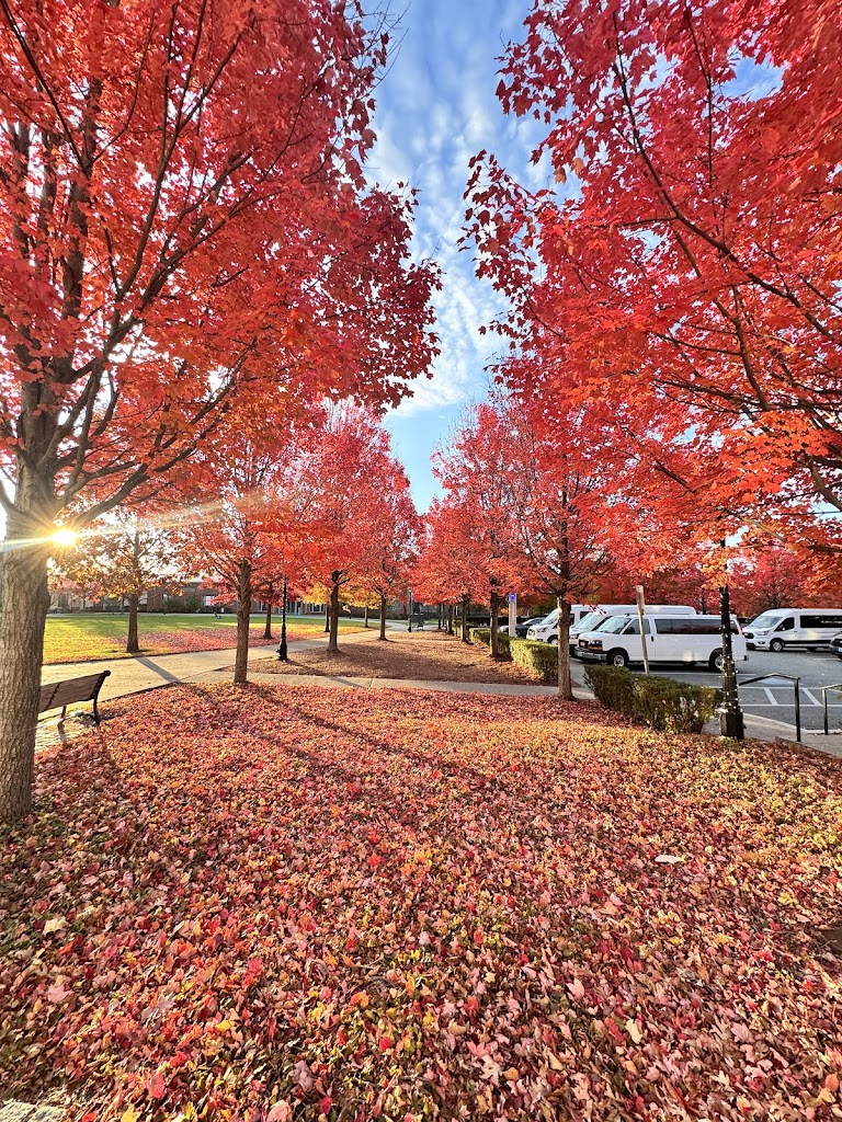  Nelson Fitness Center
