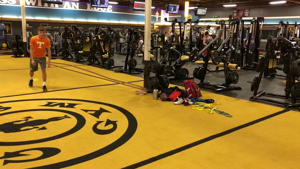  Gold's Gym
