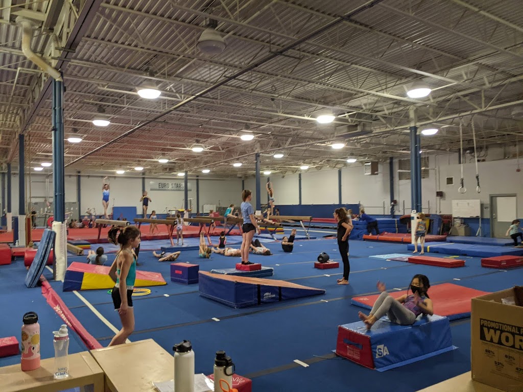  Euro Stars Gymnastics