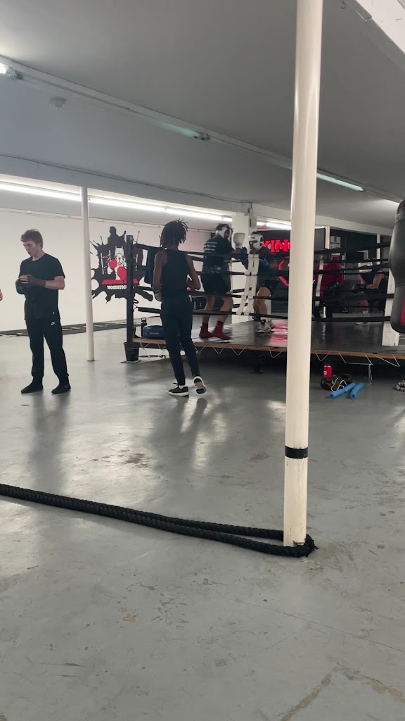  Dog House Boxing and Fitness LLC