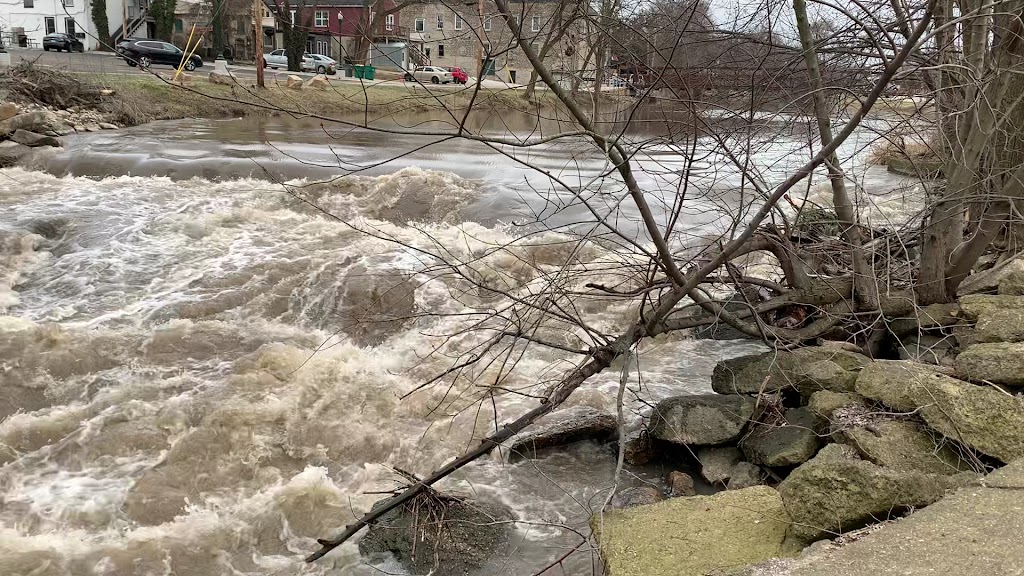  Wilmington Island Park District