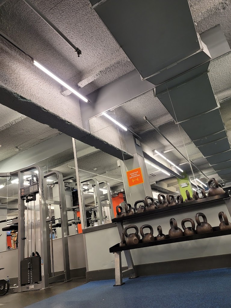  Blink Fitness (PureGym)