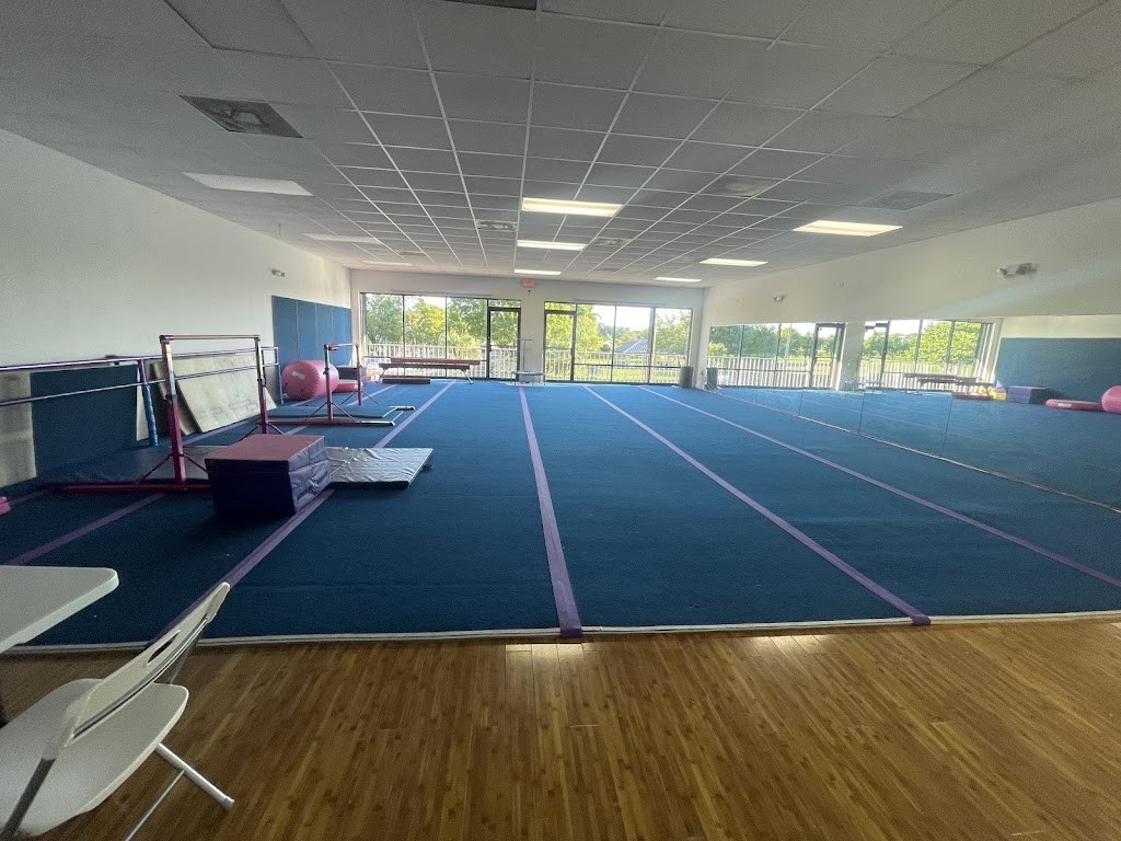  Andinas Star Gymnastics