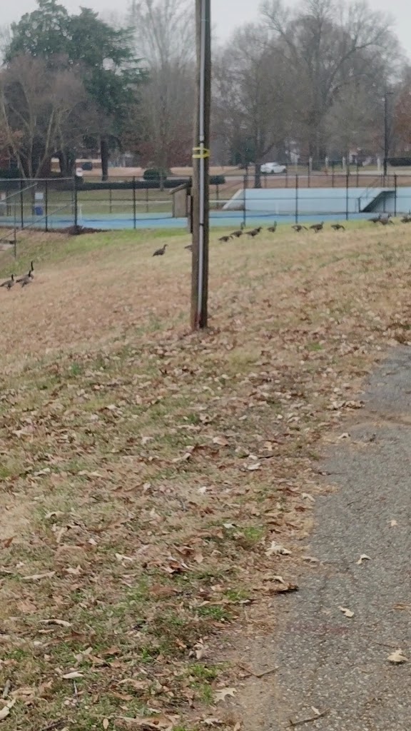  Guilford College Campus Gym and P.E Center (Ragan Brown Field House)