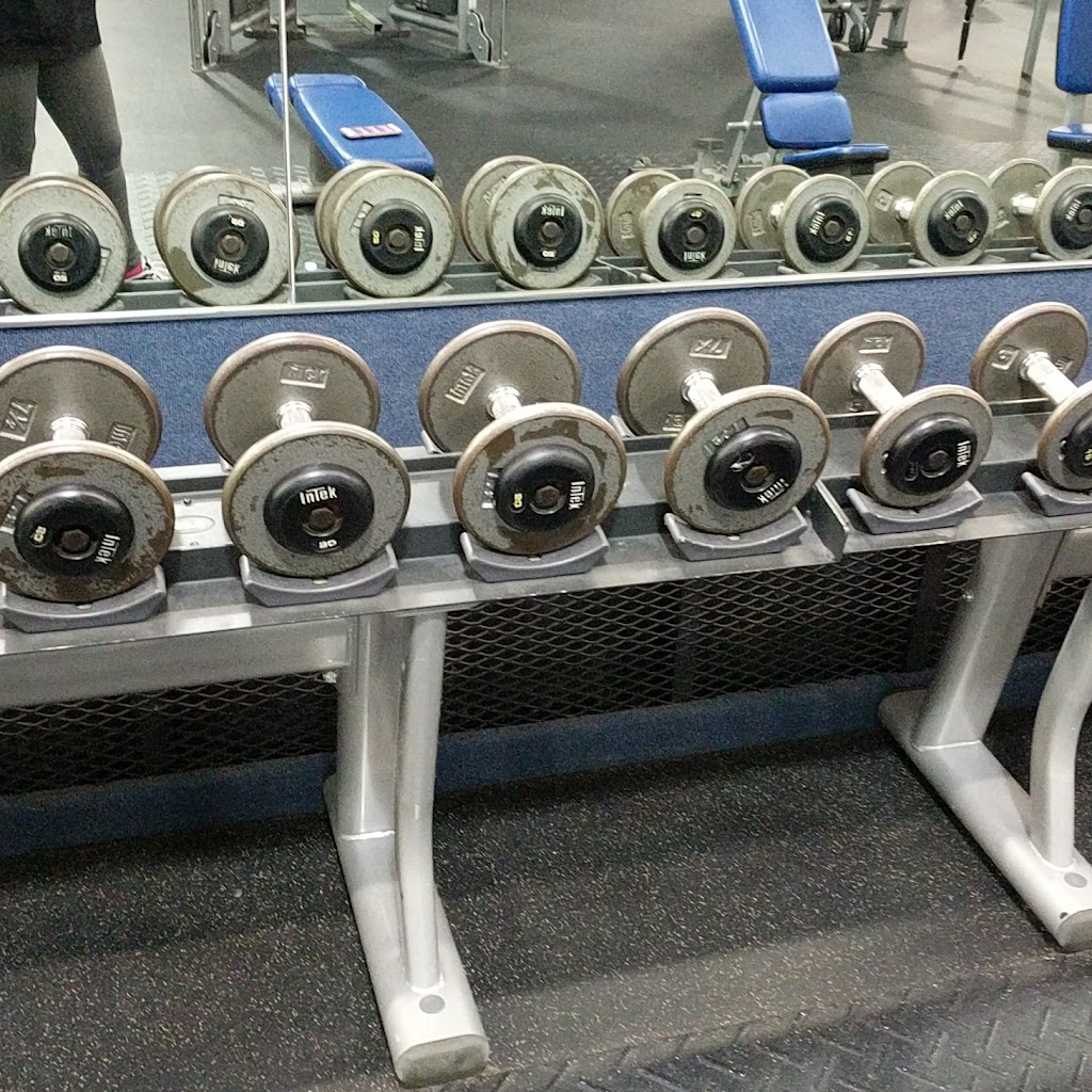  Cutting Edge Health & Fitness