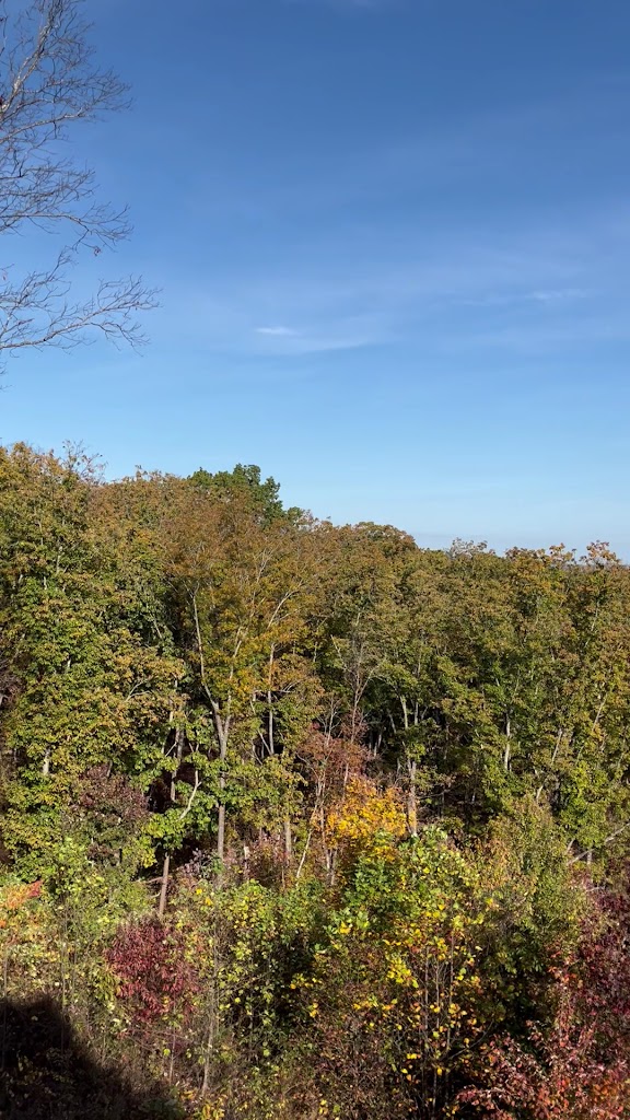  Jasper Highlands Wellness Center