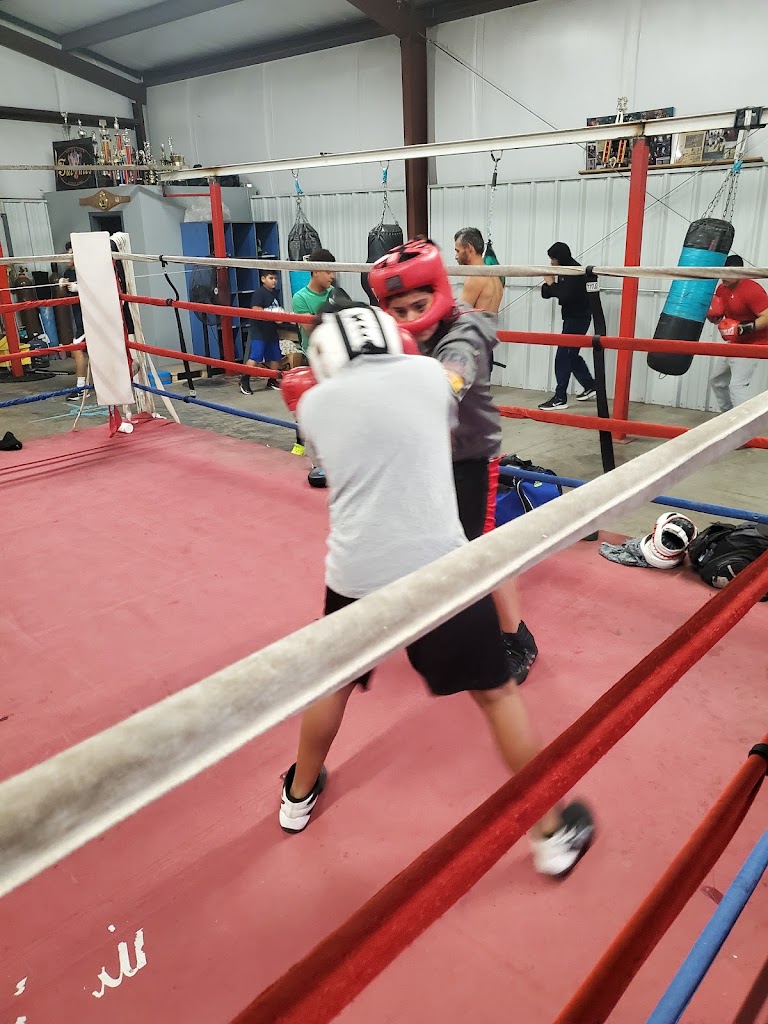  Fuentes Boxing