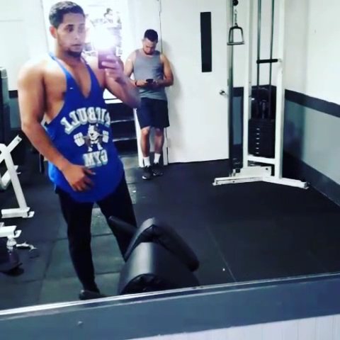  Dolphin Fitness Clubs