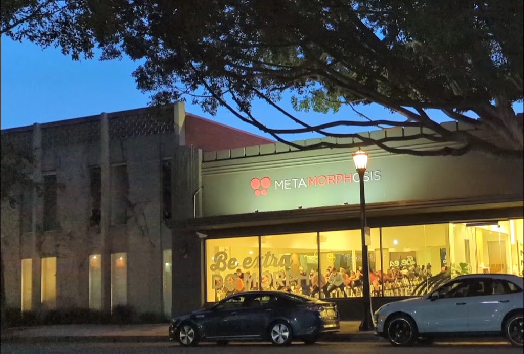  Studio Metamorphosis