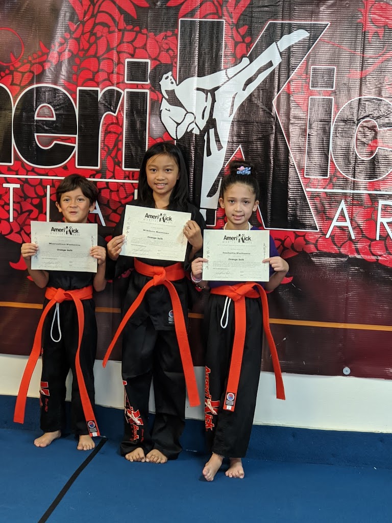  Amerikick Karate